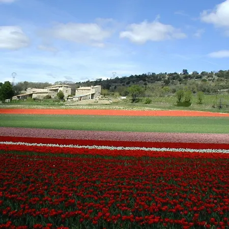 别墅 La Fenice - Beautifully Restored With Heated Pool In Small Village Montjustin
